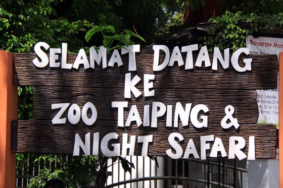 zoo taiping