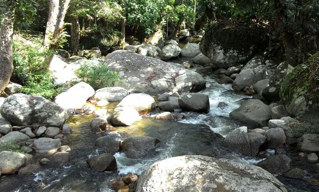 hutan lipur ulu kenas