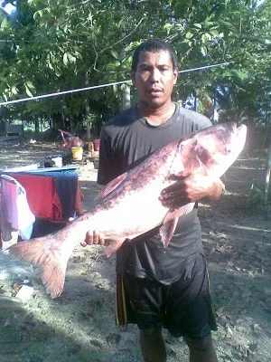 ikan dalam sungai perak