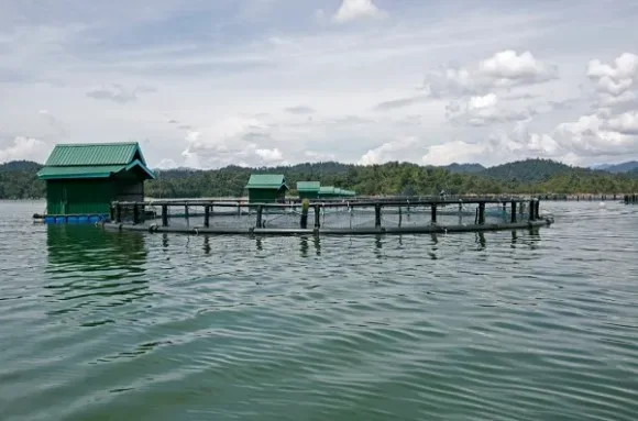 Kenali Tasik Temenggor di Perak