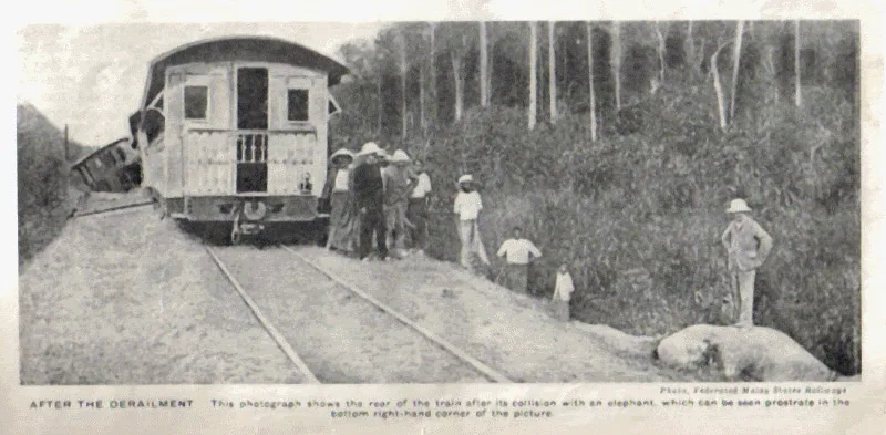 gajah mati