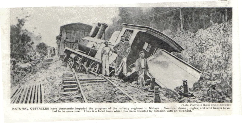 gajah mati