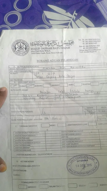 aduan serangan lalat
