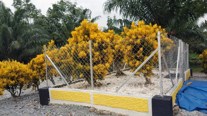 makam baru puteri limau purut