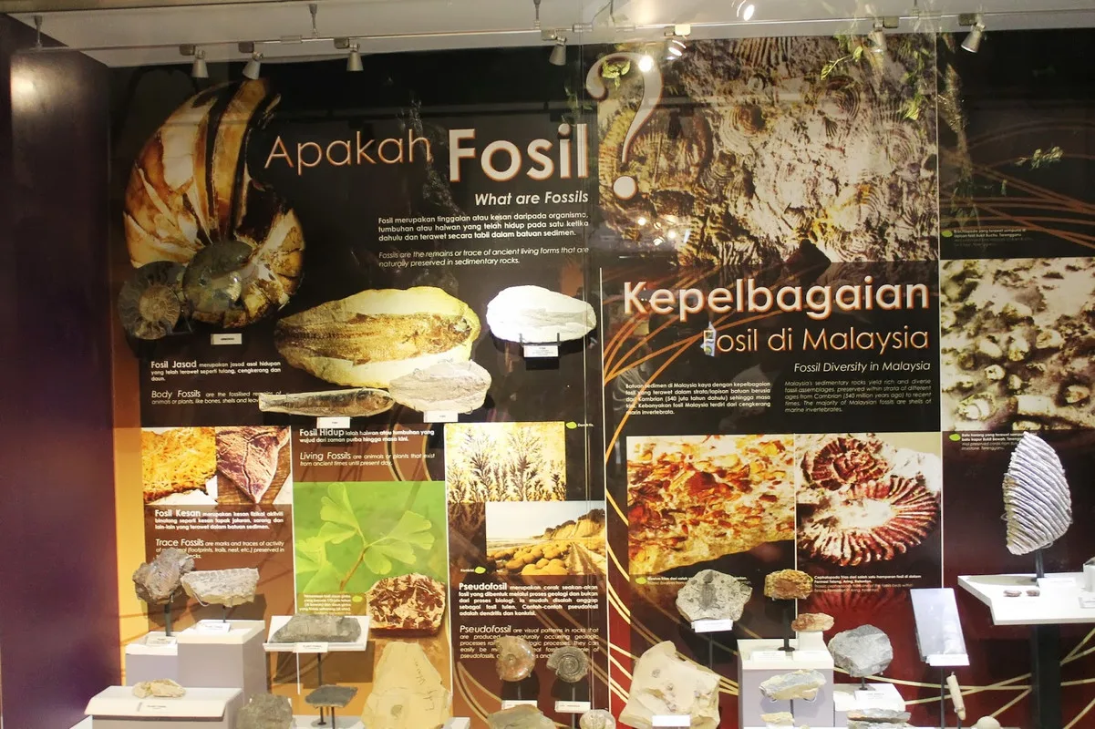 pelan lantai muzium geologi ipoh