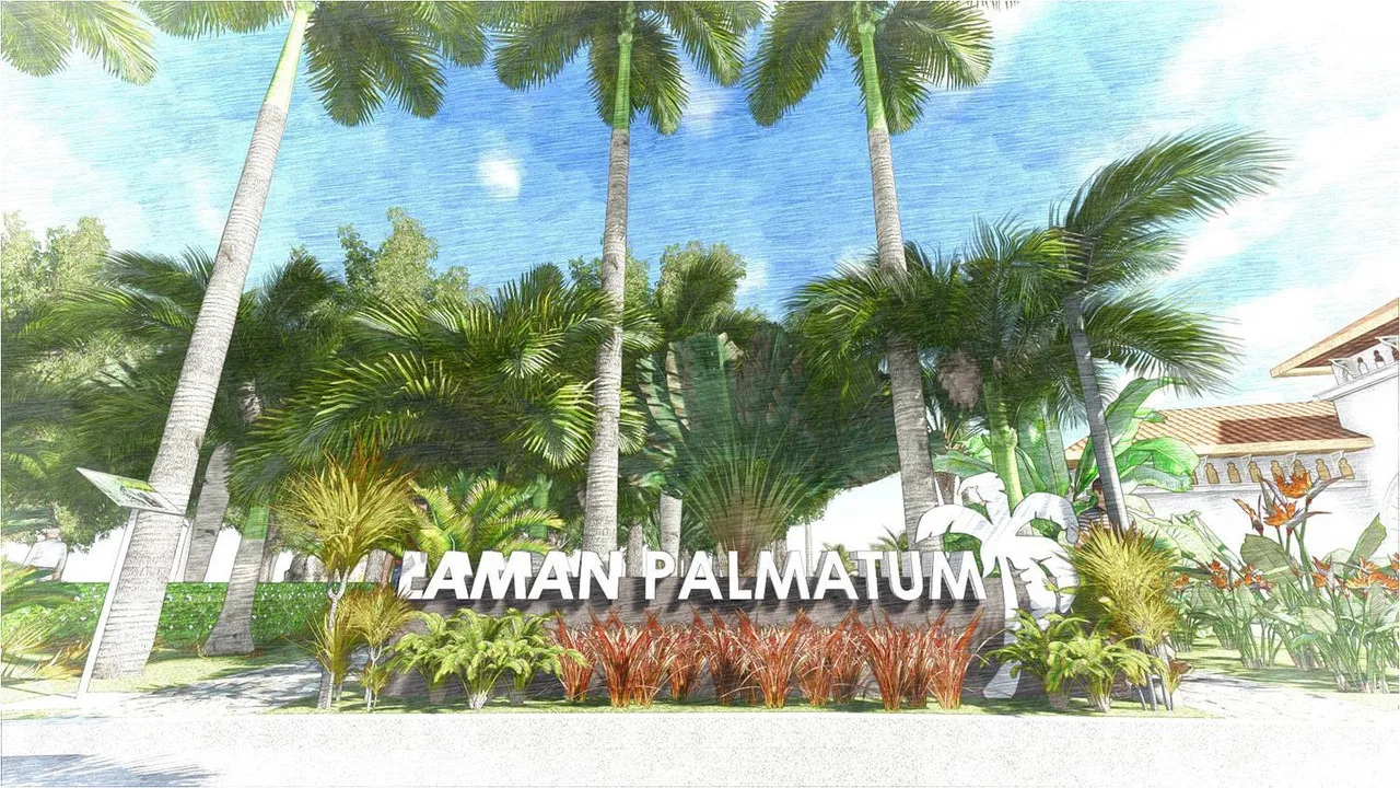 laman palmatum