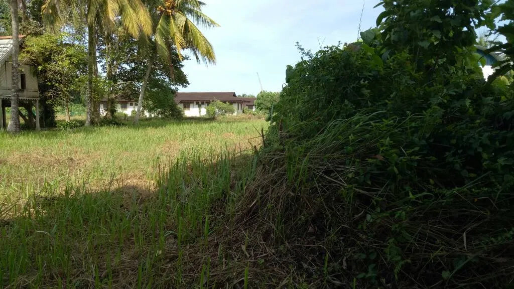 Kubu Dato Maharajalela Semakin Dipenuhi Semak Samun