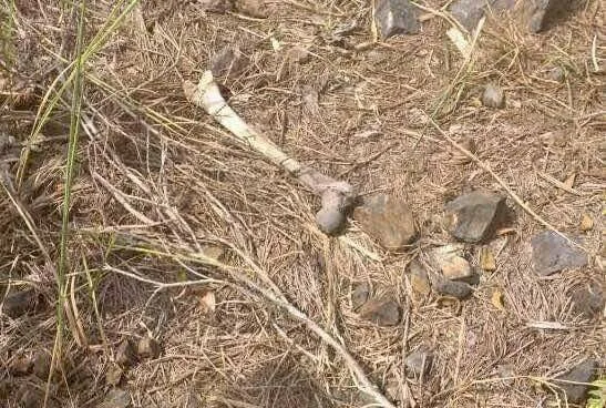 Misteri Tengkorak Dalam Tempayan Di Tronoh