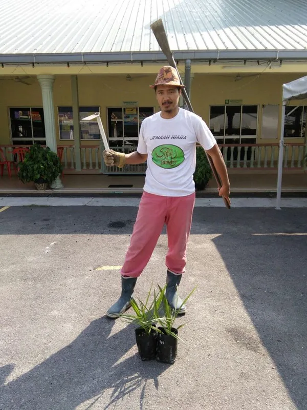 Usahawan Pokok Kurma Di Chemor