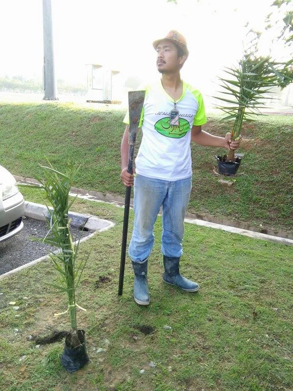 Usahawan Pokok Kurma Di Chemor