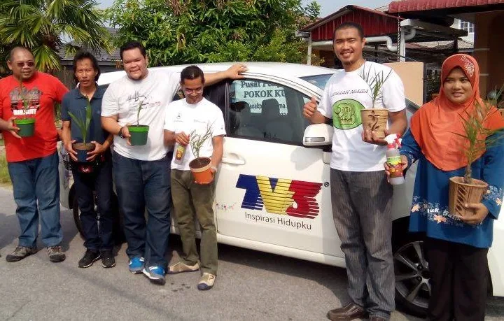Usahawan Pokok Kurma Di Chemor