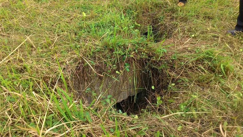 Kubu Bawah Tanah Pertama Negara Ditemui Di Perak