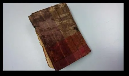 Kitab Pemeliharaan Gajah Di Hulu Perak