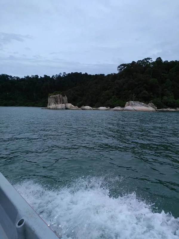 Dua Kisah Rahsia Hutan Simpan Segari Yang Ramai Orang Tidak Tahu