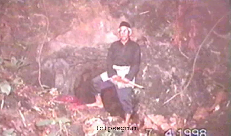 Gua Daeng Kuning Di Bukit Larut