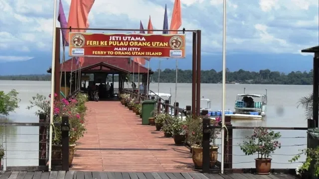 Pulau Orang Utan Di Bukit Merah, Perak