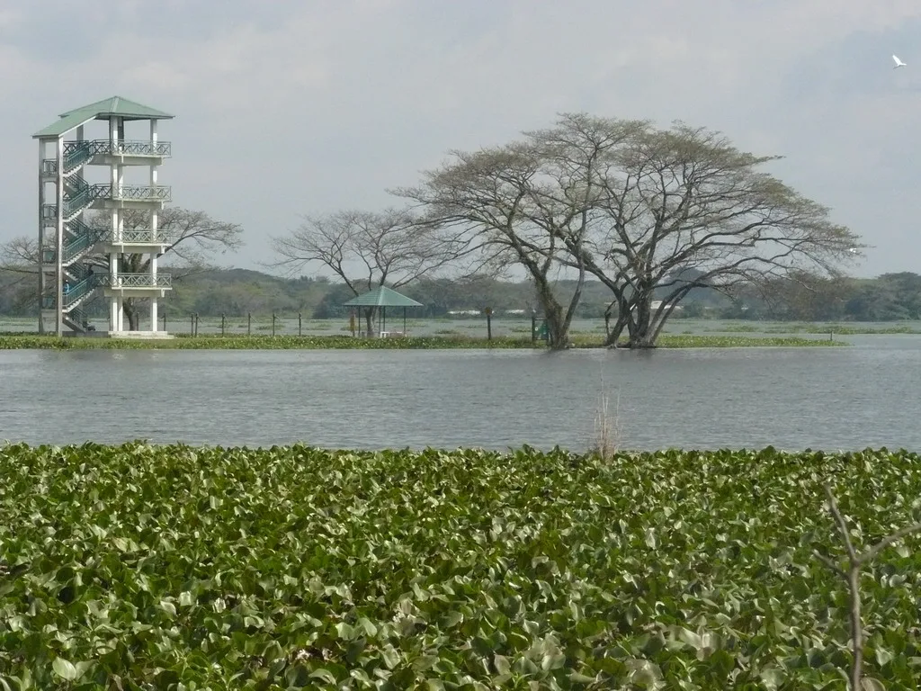 Taman Alam Kinta Adalah Taman Negeri Perak Ke Tiga