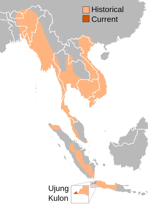 lokasi habitat badak jawa