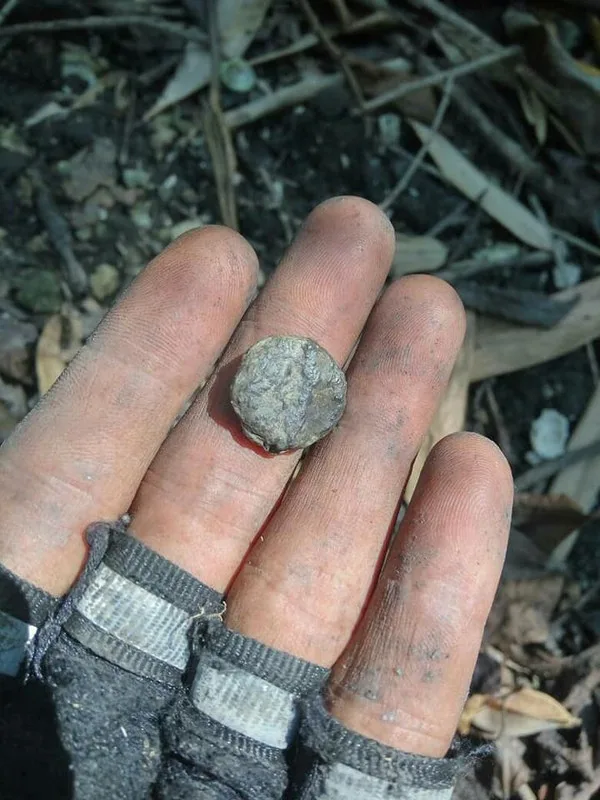 Merungkai 1,001 Rahsia Pulau Kelumpang Di Bagan Serai, Perak