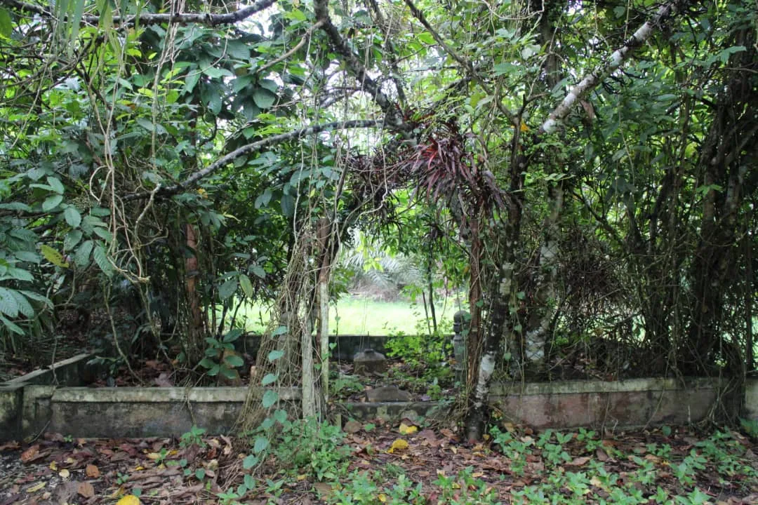 Kubur Mat Arshad, Penterjemah Bahasa Kepada J.W.W. Birch