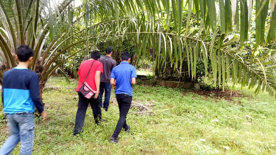 Kubur Mat Arshad, Penterjemah Bahasa Kepada J.W.W. Birch