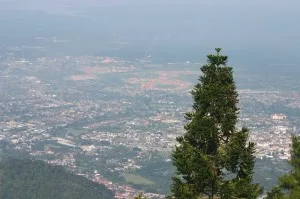 Bukit Larut 2