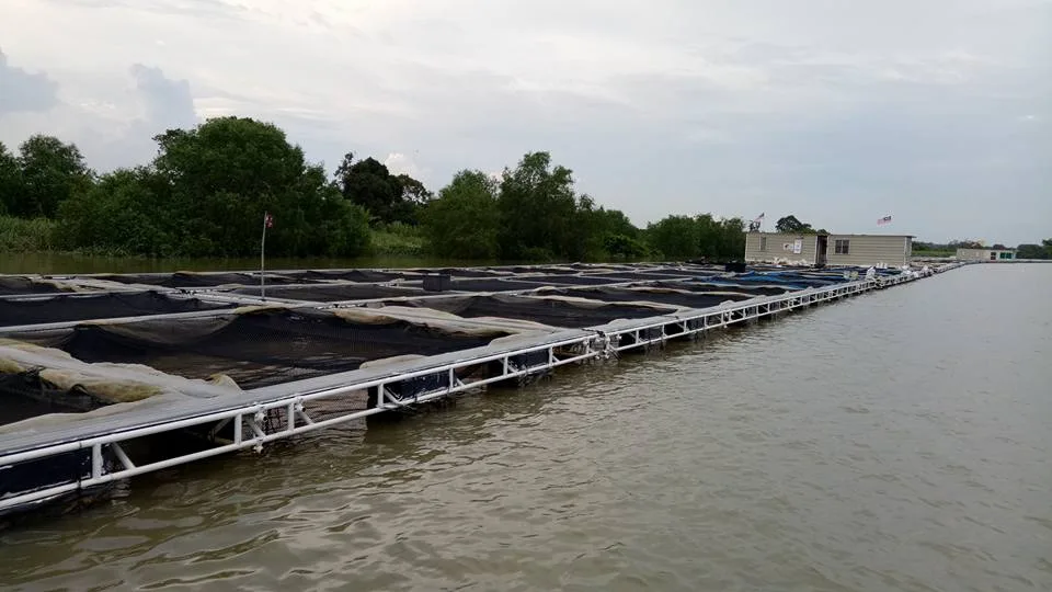 Menyusuri Sungai Perak Di Teluk Intan Dengan River Cruise