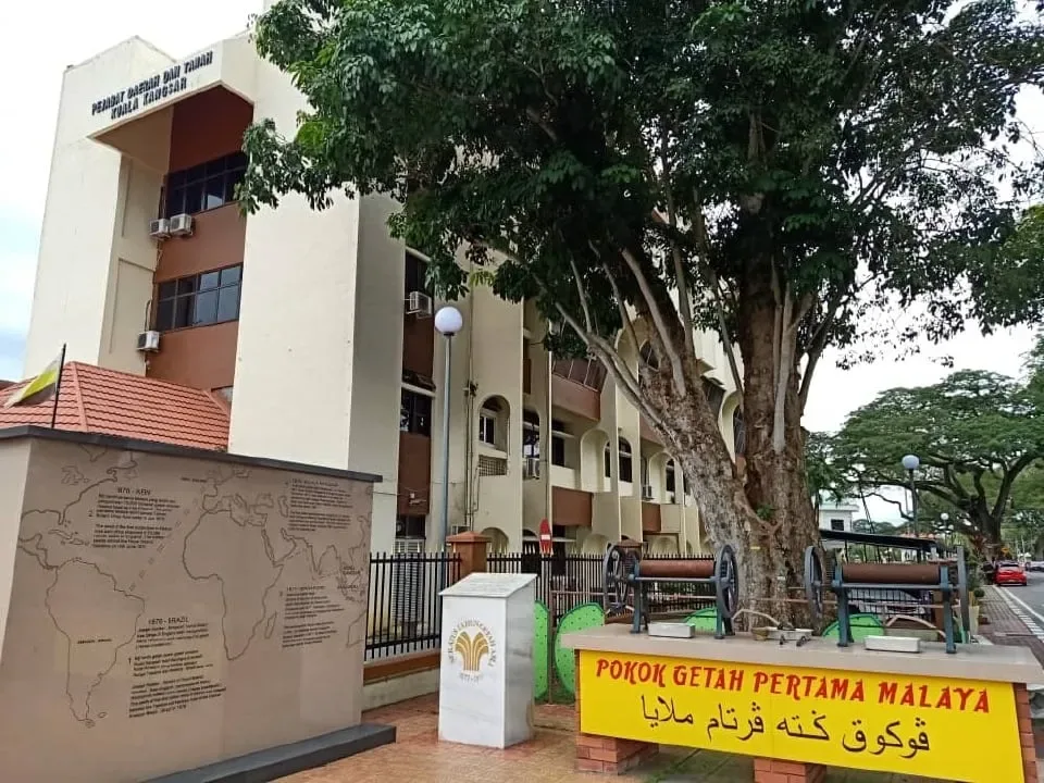 Pokok Getah Pertama di Malaysia