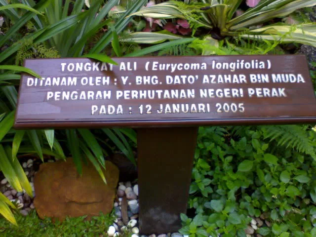 Taman Herba Papan Di Batu Gajah