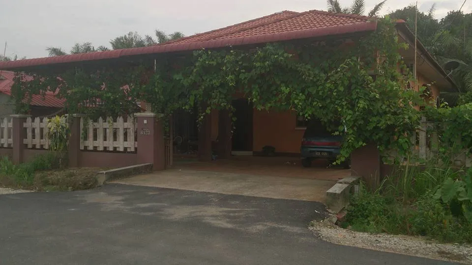Kitchen Garden Oleh Pesara Tentera Laut Di Rumahnya Lekir, Perak