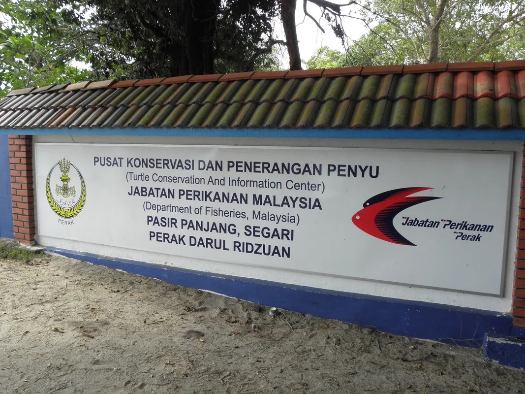 penerangan penyu segari