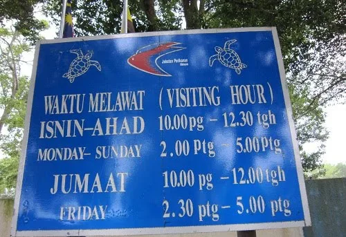 waktu melawat penyu segari