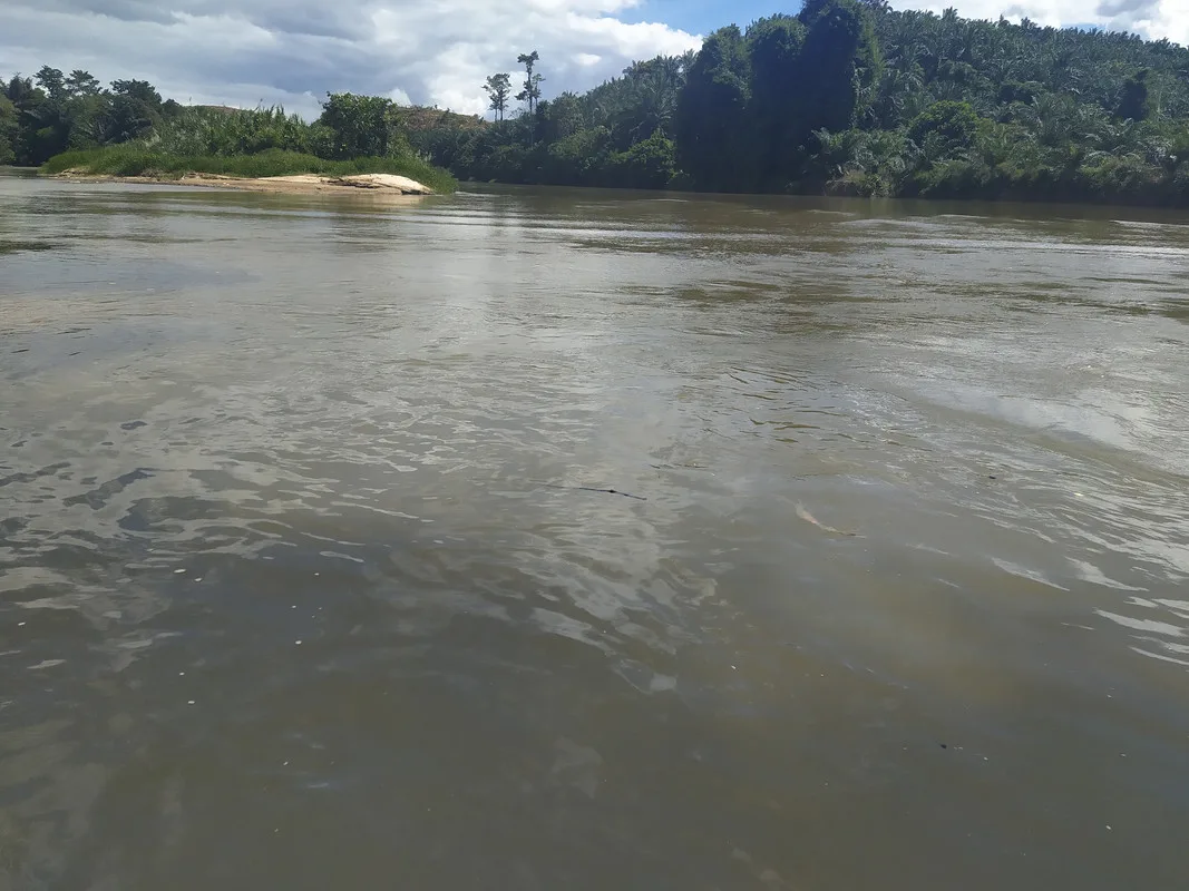 Uniknya Lubuk Pertemuan Di Sungai Perak