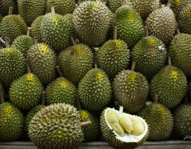 durian