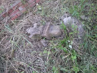remains of a grave