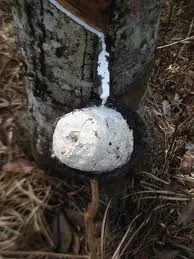 Rubber