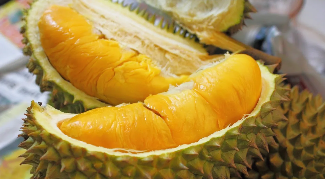 buah durian Gangga Puri