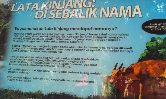 the myth of lata kinjang