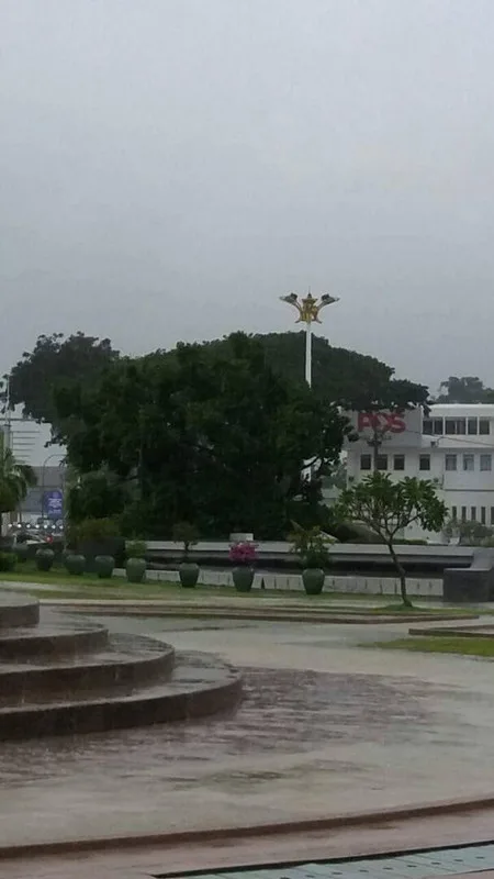 Ipoh Tree Falls After 37 Years