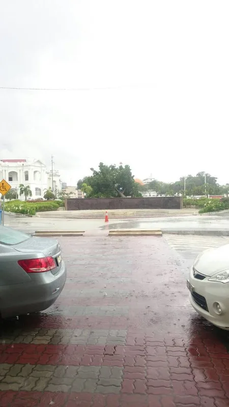Ipoh Tree Falls After 37 Years