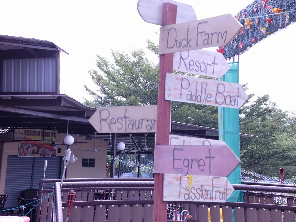 Malaysia's First Duck-Themed Holiday Resort in Trong