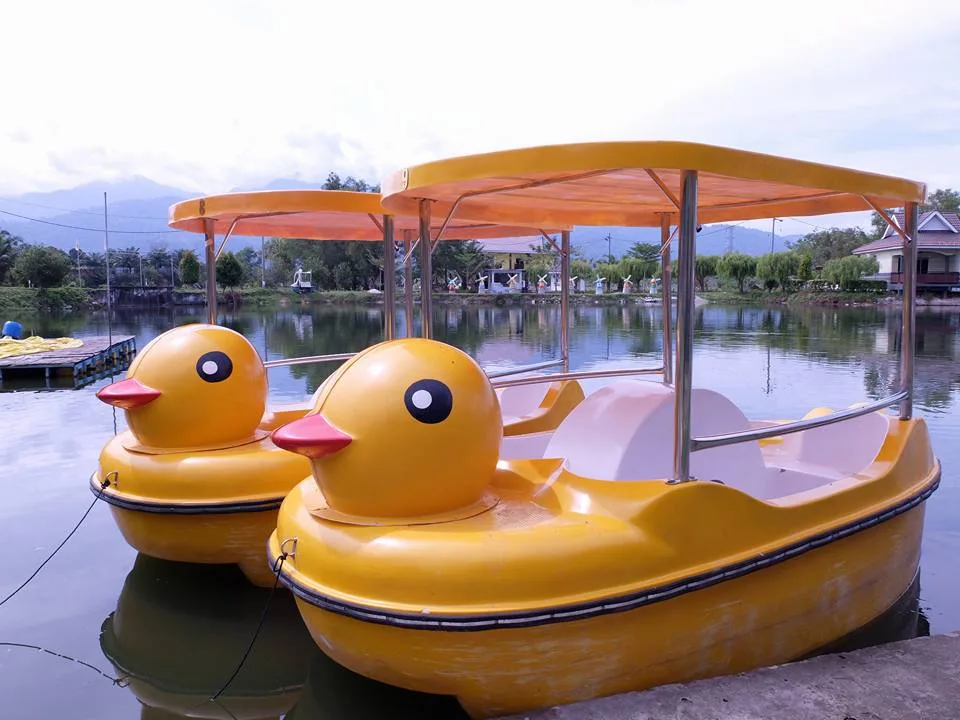 Malaysia's First Duck-Themed Holiday Resort in Trong