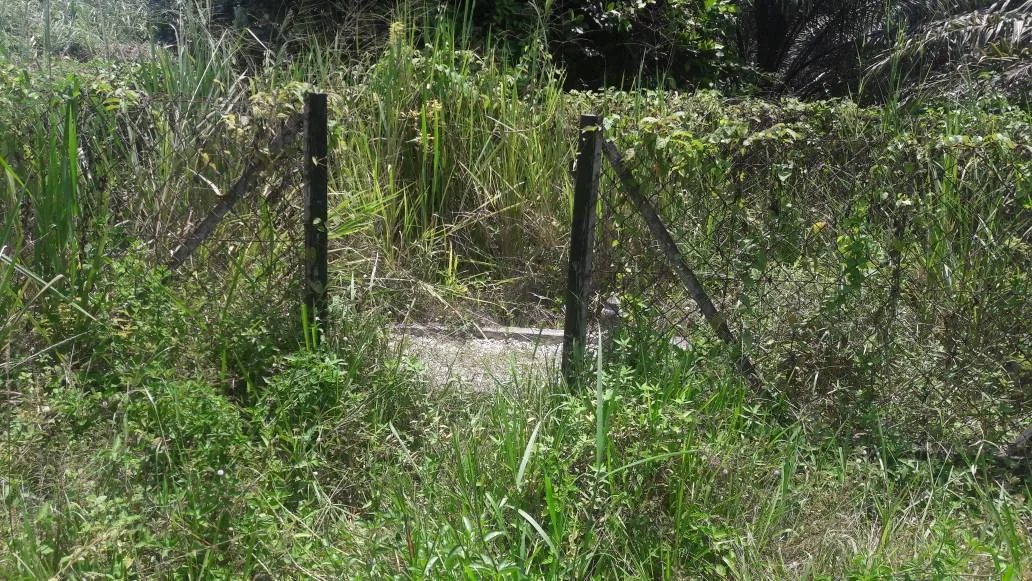 The Current Neglected State of Dato Sagor's Tomb