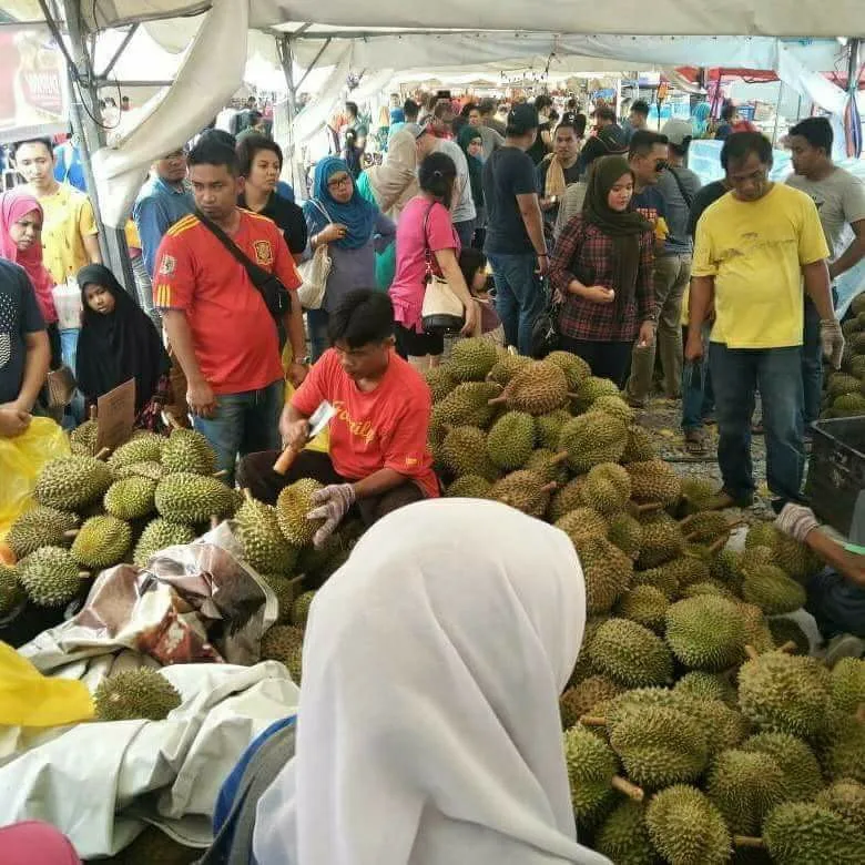 Ipoh durian visitors