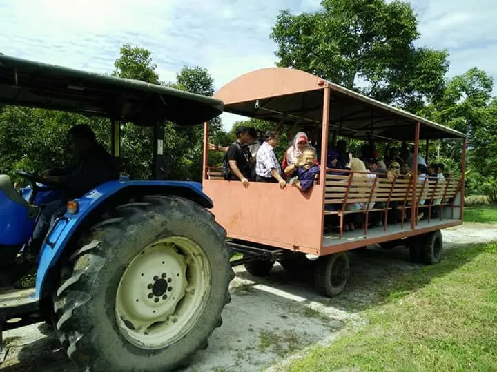 Malaysia's First Durian Park in Kuala Kangsar