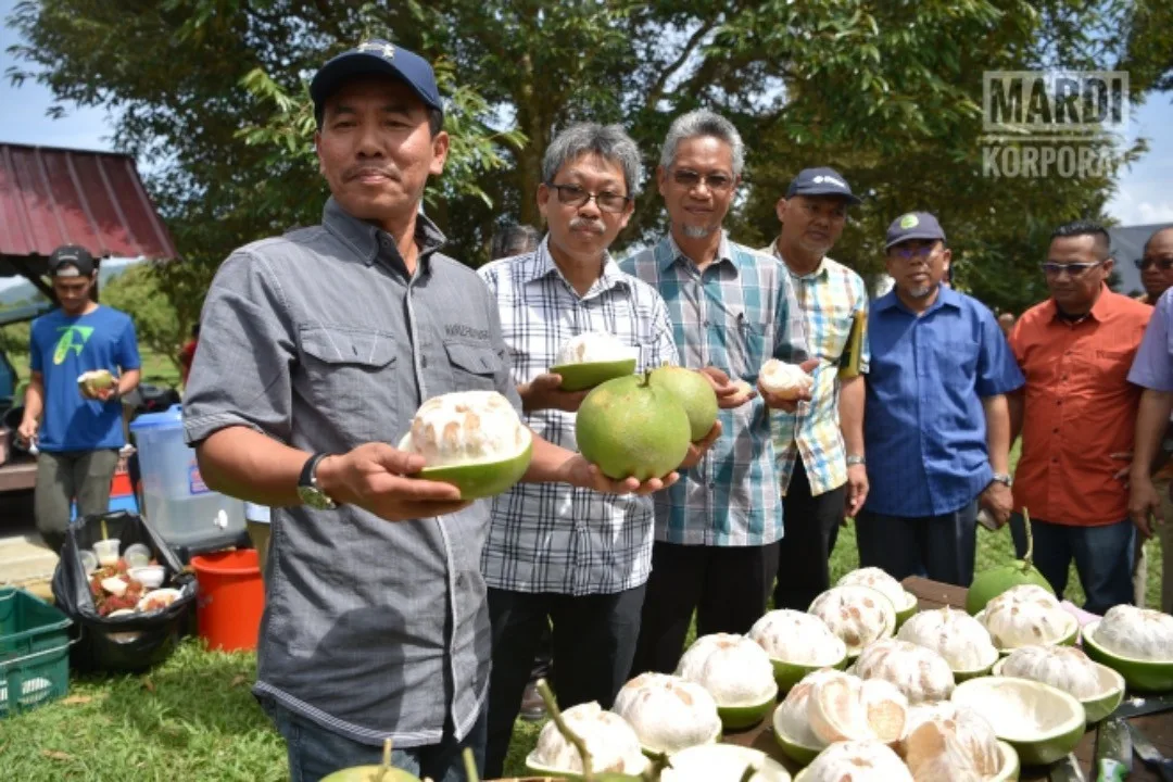 Malaysia's First Durian Park in Kuala Kangsar