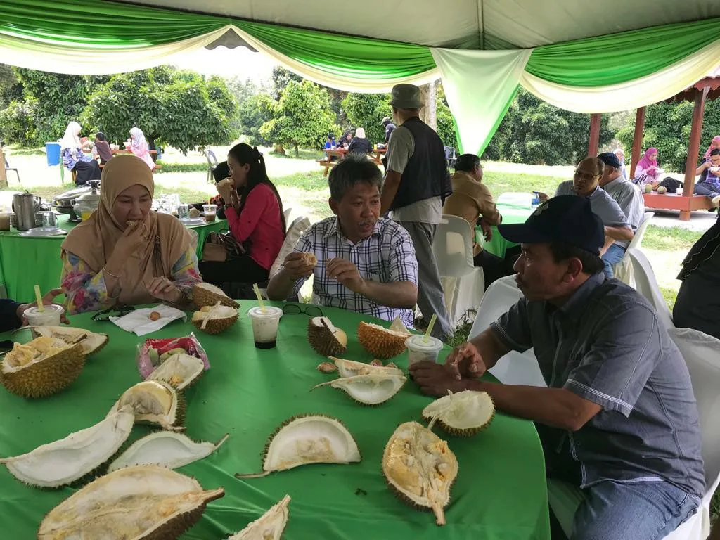 Malaysia's First Durian Park in Kuala Kangsar