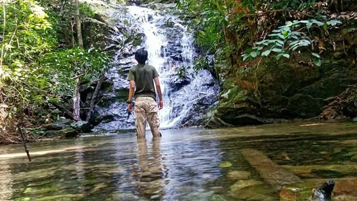 Segari, The Last Coastal Hill Forest in Malaysia