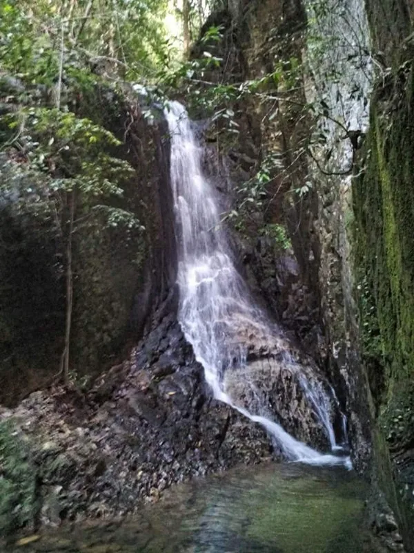Segari, The Last Coastal Hill Forest in Malaysia
