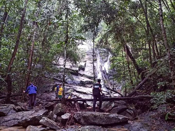 Segari, The Last Coastal Hill Forest in Malaysia